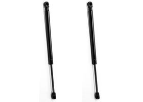 Par De Amortiguadores De Cofre