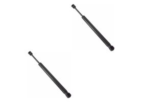 Par De Amortiguadores De Cofre