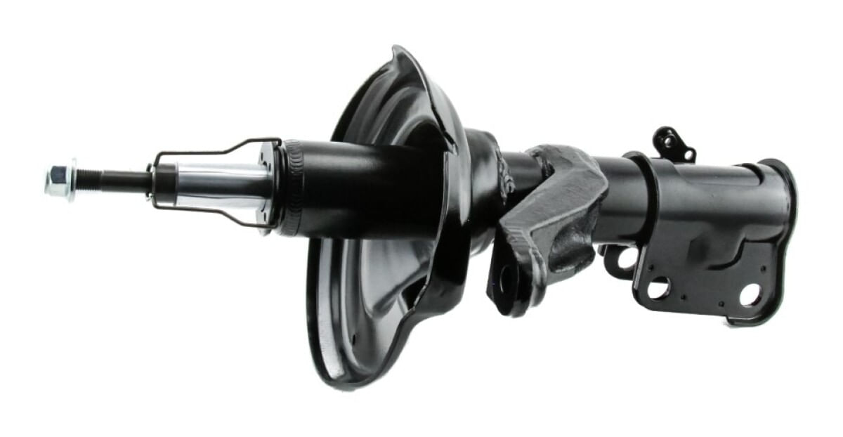 Amortiguador Gas Delantero Lado Conductor