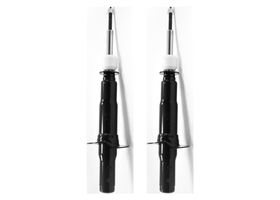 Par De Amortiguadores Gas Delanteros