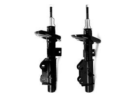 Par De Amortiguadores Gas Delanteros