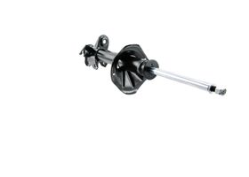 Amortiguador Hidráulico Trasero Lado Conductor