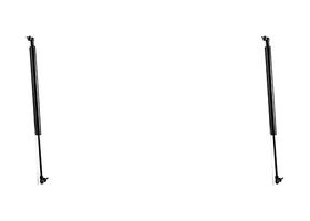 Par De Amortiguadores De Cajuela