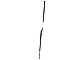 Par De Amortiguadores De Cajuela