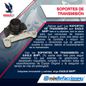 Texto-de-linea-3035941