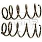 grob-juego-de-resortes-de-suspension-delanteros-dodge-neon-2000-2005-neon-0