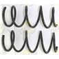 grob-juego-de-resortes-de-suspension-delanteros-nissan-aprio-2008-2010-aprio-0