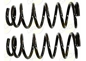Juego De Resortes De Suspensión Traseros