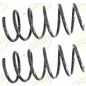 grob-juego-de-resortes-de-suspension-delanteros-renault-clio-2002-2006-clio-0