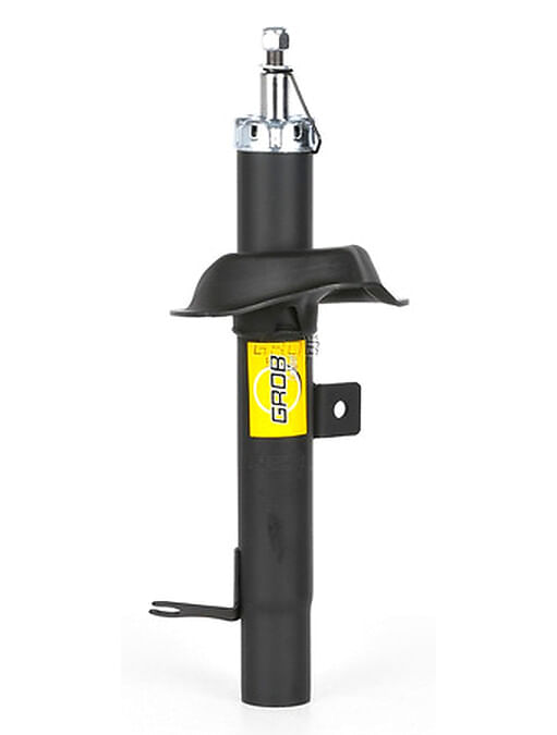 Amortiguador Gas Delantero Lado Conductor