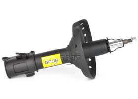 Amortiguador Gas Delantero Lado Conductor