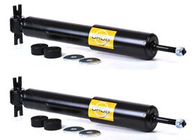 Par De Amortiguadores Gas Delanteros