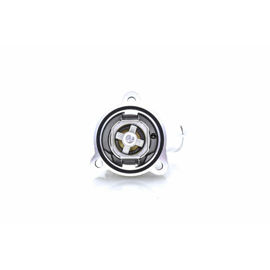 producto-3477791