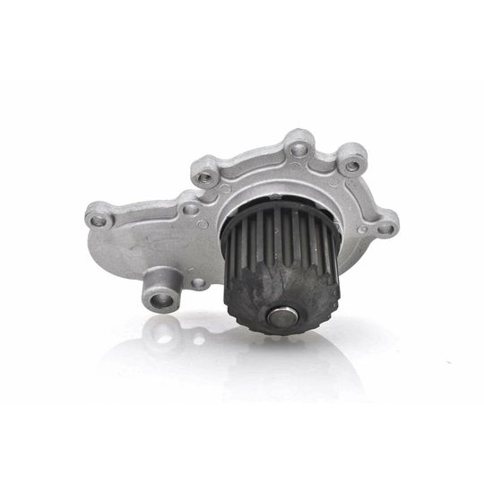 producto-2979690 producto-2979690