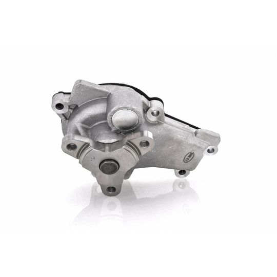 producto-2979924 producto-2979924