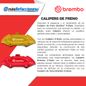 Texto-de-linea
