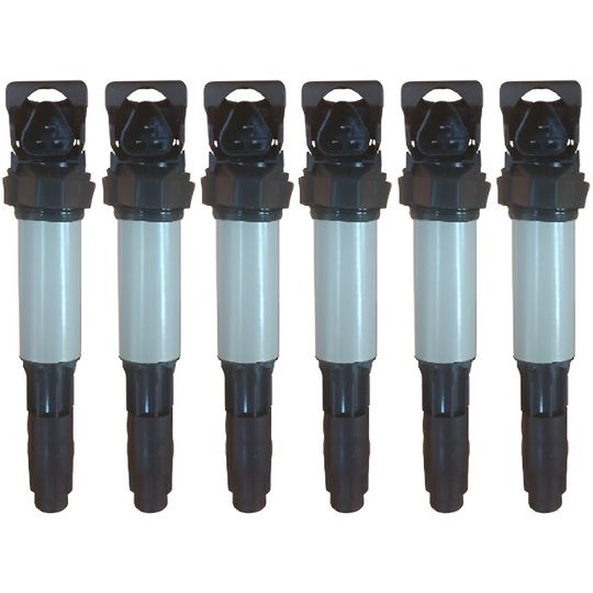 intran-flotamex-kit-de-6-bobinas-de-encendido-bmw-serie-3-2003-2006-330xi-l6-3-0l-0 intran-flotamex-kit-de-6-bobinas-de-encendido-bmw-serie-3-2003-2006-330xi-l6-3-0l-0