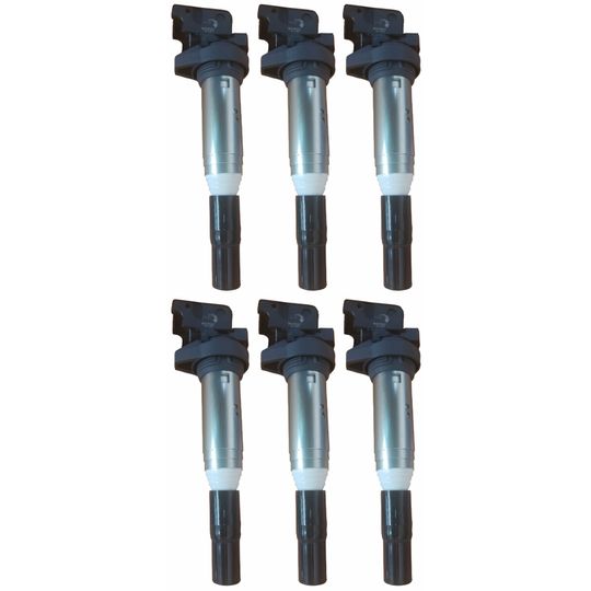 intran-flotamex-kit-de-6-bobinas-de-encendido-bmw-serie-3-2006-323i-l6-2-5l-0 intran-flotamex-kit-de-6-bobinas-de-encendido-bmw-serie-3-2006-323i-l6-2-5l-0