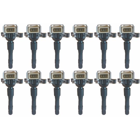 intran-flotamex-kit-de-12-bobinas-de-encendido-rolls-royce-park-ward-2002-park-ward-v12-5-4l-0