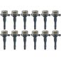 intran-flotamex-kit-de-12-bobinas-de-encendido-rolls-royce-park-ward-2002-park-ward-v12-5-4l-0