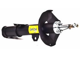 Amortiguador Gas Delantero Lado Pasajero