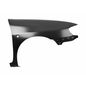 tong-yang-salpicadera-delantera-lado-pasajero-seat-ibiza-2001-2002-ibiza-0