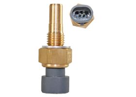 Sensor De Temperatura Del Refrigerante (CTS)