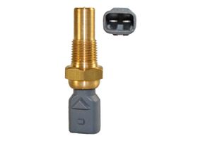 Sensor De Temperatura Del Refrigerante (CTS)