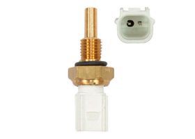 Sensor De Temperatura Del Refrigerante (CTS)