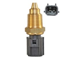 Sensor De Temperatura Del Refrigerante (CTS)