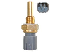 Sensor De Temperatura Del Refrigerante (CTS)