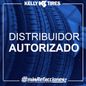 Distribuidor-autorizado