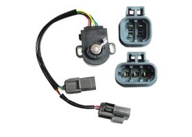 Sensor De Posición Del Acelerador (TPS)