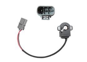 Sensor De Posición Del Acelerador (TPS)