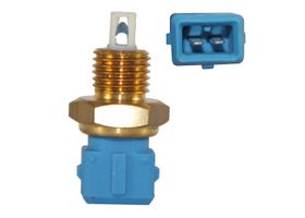 Sensor De Temperatura De Carga De Aire De Admisión (IAT)