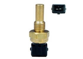 Sensor De Temperatura Del Refrigerante (CTS)
