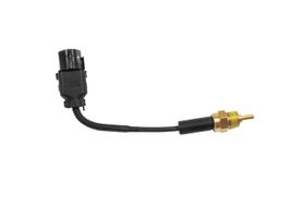 Sensor De Temperatura Del Refrigerante (CTS)