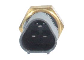 Sensor De Temperatura Del Refrigerante (CTS)