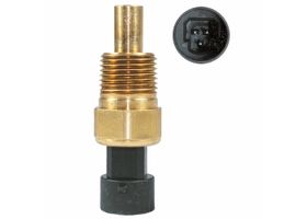Sensor De Temperatura Del Refrigerante (CTS)