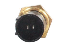 Sensor De Temperatura Del Refrigerante (CTS)