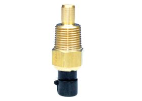 Sensor De Temperatura Del Refrigerante (CTS)