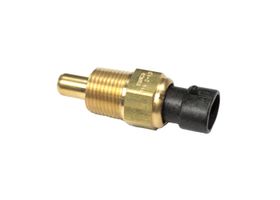 Sensor De Temperatura Del Refrigerante (CTS)