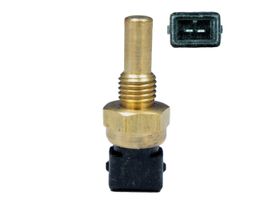 Sensor De Temperatura Del Refrigerante (CTS)