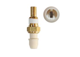 Sensor De Temperatura Del Refrigerante (CTS)