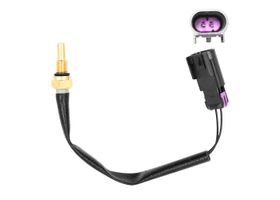 Sensor De Temperatura Del Refrigerante (CTS)