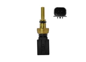 Sensor De Temperatura Del Refrigerante (CTS)
