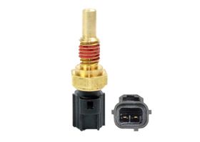 Sensor De Temperatura Del Refrigerante (CTS)