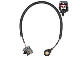 Sensor De Detonación (KS)