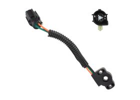 Sensor De Posición Del Acelerador (TPS)