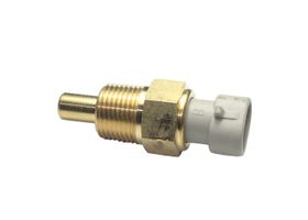 Sensor De Temperatura De Carga De Aire De Admisión (IAT)